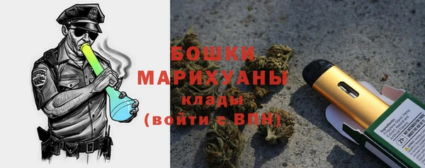 хмурый Богородск
