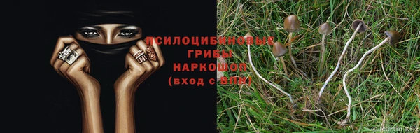 скорость Белокуриха